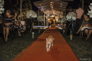 Casamento com banda de fanfarra, casamento criativo, casamento celebrado por amigos, vestido de noiva, decoração casamento de dia, maquiagem de casamento, sapato de noiva, casando no bosque da fazenda, Clara Sampaio Fotografia