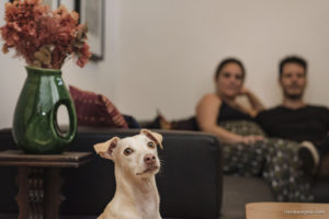 Ensaio de gestante em casa, ensaio de gestante, ensaio de família, fotografia documental, fotografia de família, melhor fotógrafa de partos rio de janeiro, melhor fotógrafa de ensaio de gestante, ensaio de gestante criativo, ensaio de gestante que roupa usar, Clara Sampaio Fotografia